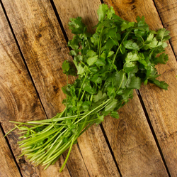 Cilantro (1 pz)